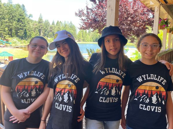 Camp Trip Image - Woodleaf Towne