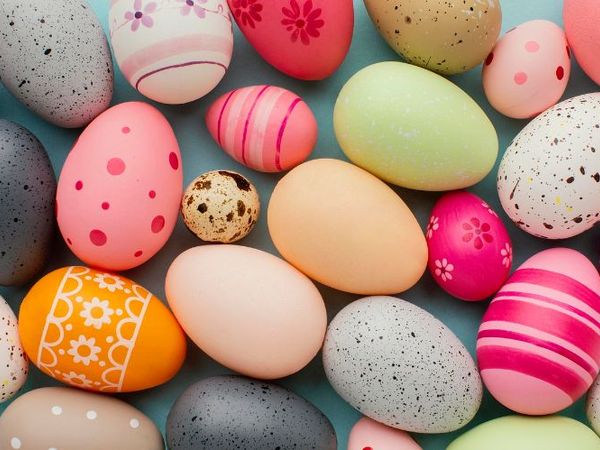 Event Image - 701QP00001N98AMYAZ