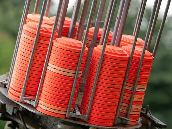 Event Image - 701QP0000163IGEYA2